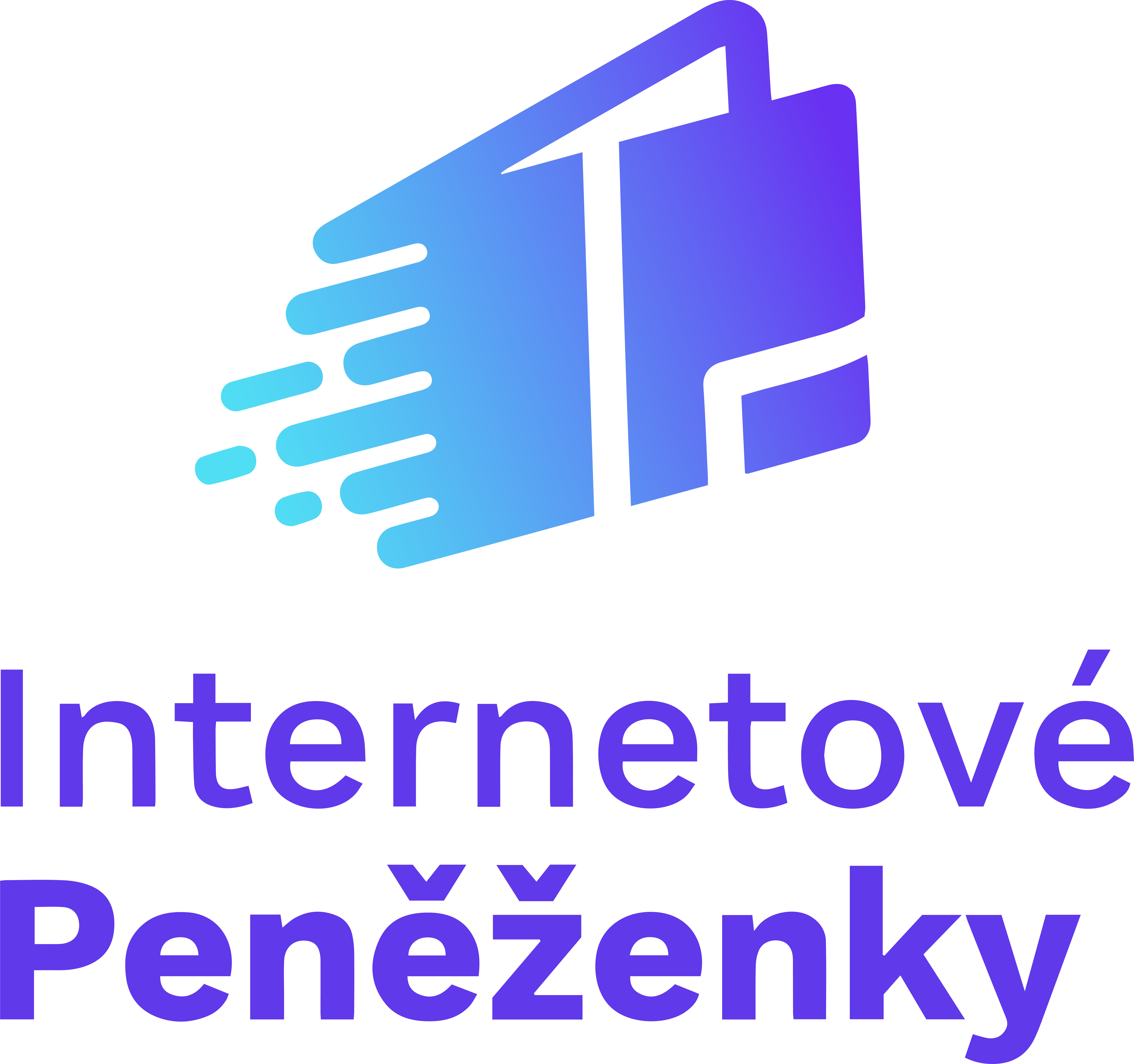 Internetové peněženky