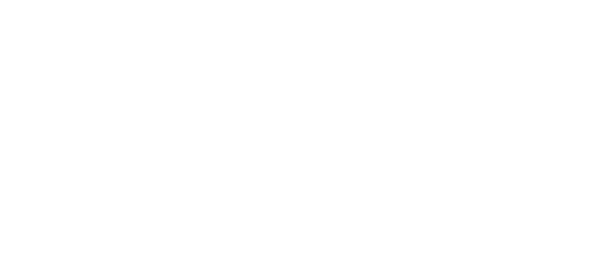Logo Wise
