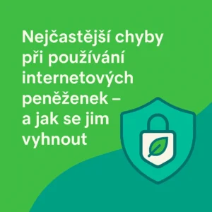 nejcastejsi chyby pri pouzivani internerovych penezenek nejcastejsi chyby pri pouzivani internerovych penezenek